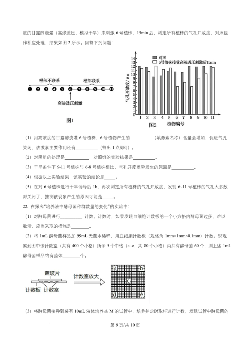 湖北省武汉市武昌区湖北省武昌实验中学2025-2026学年高二上学期12月月考生物试题（原卷版）_2024-2025高二（7-7月题库）_2026年1月高二