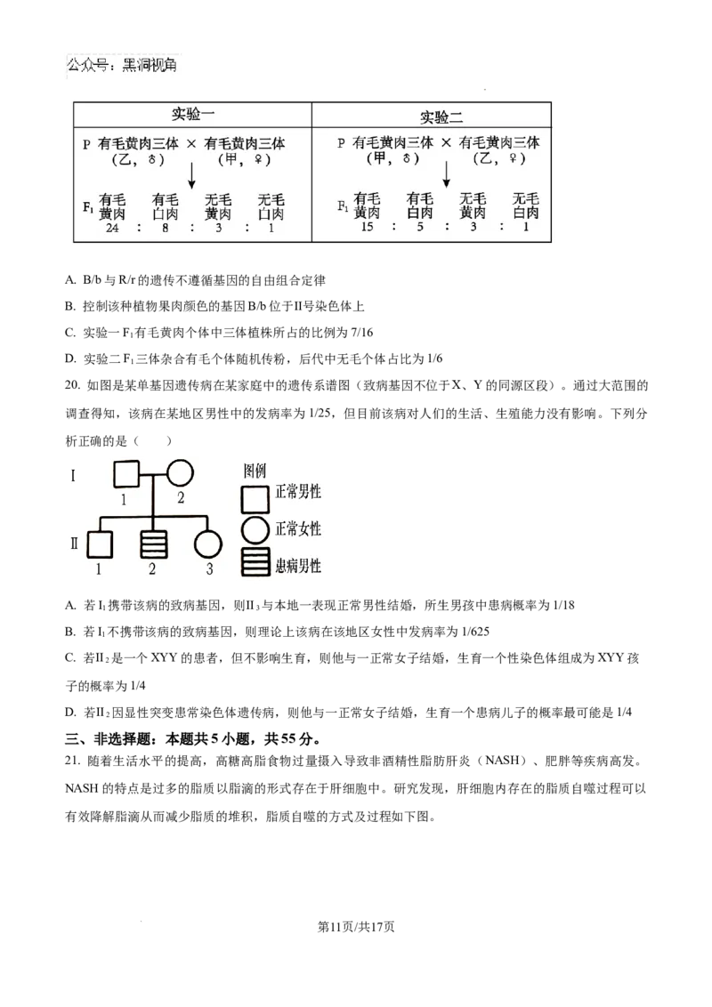 山东省泰安市2024-2025学年高三上学期11月期中考试生物_2024-2025高三（6-6月题库）_2024年11月试卷_1125山东省泰安市2024-2025学年高三上学期11月期中考试