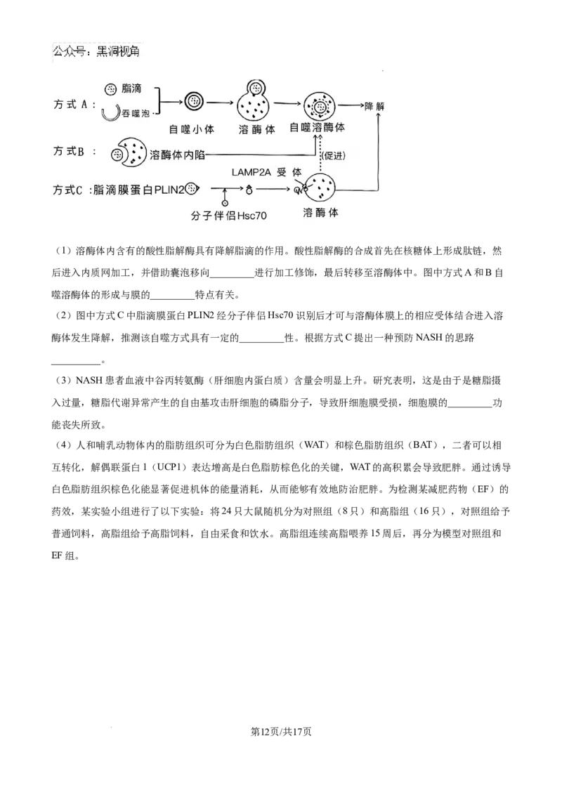 山东省泰安市2024-2025学年高三上学期11月期中考试生物_2024-2025高三（6-6月题库）_2024年11月试卷_1125山东省泰安市2024-2025学年高三上学期11月期中考试