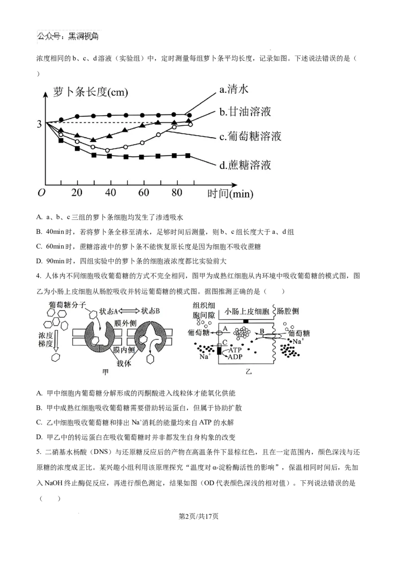 山东省泰安市2024-2025学年高三上学期11月期中考试生物_2024-2025高三（6-6月题库）_2024年11月试卷_1125山东省泰安市2024-2025学年高三上学期11月期中考试