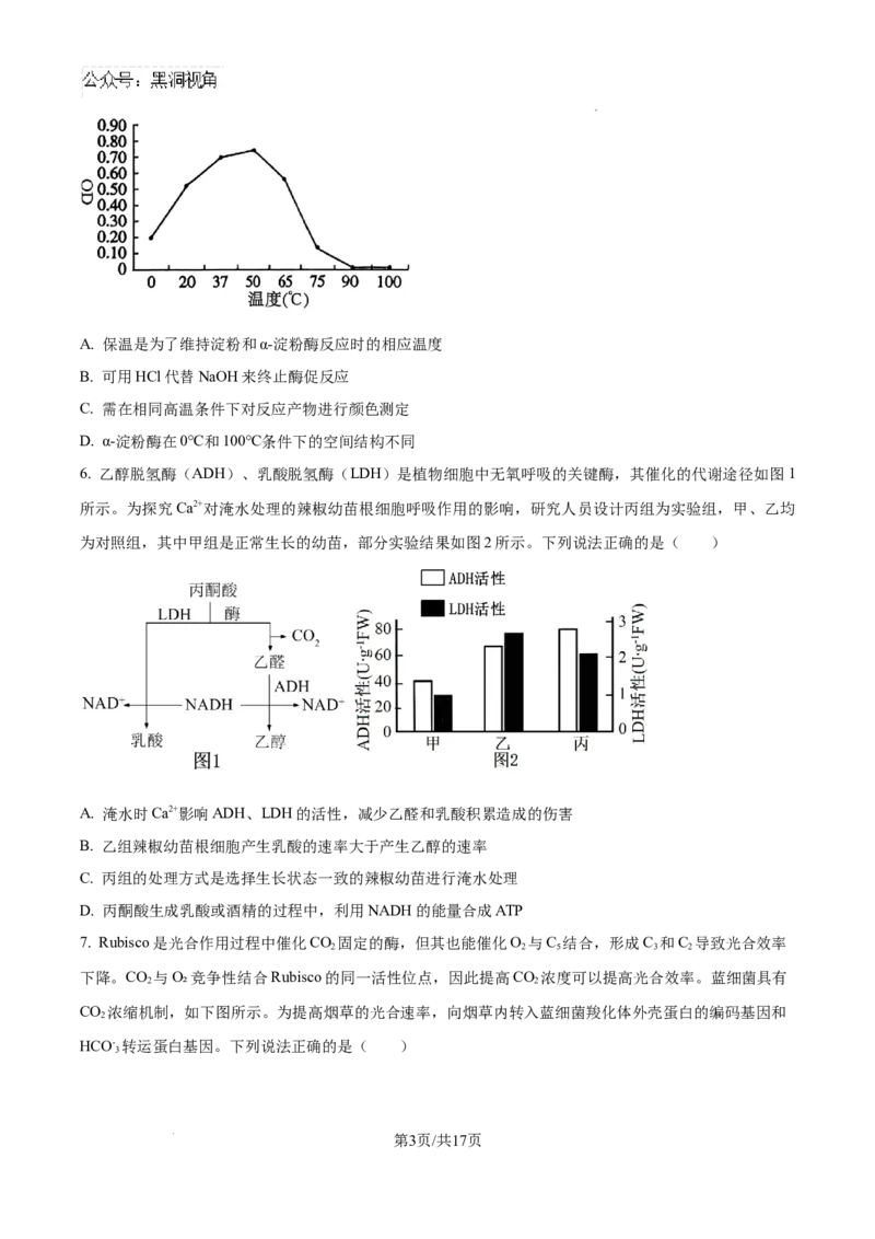 山东省泰安市2024-2025学年高三上学期11月期中考试生物_2024-2025高三（6-6月题库）_2024年11月试卷_1125山东省泰安市2024-2025学年高三上学期11月期中考试