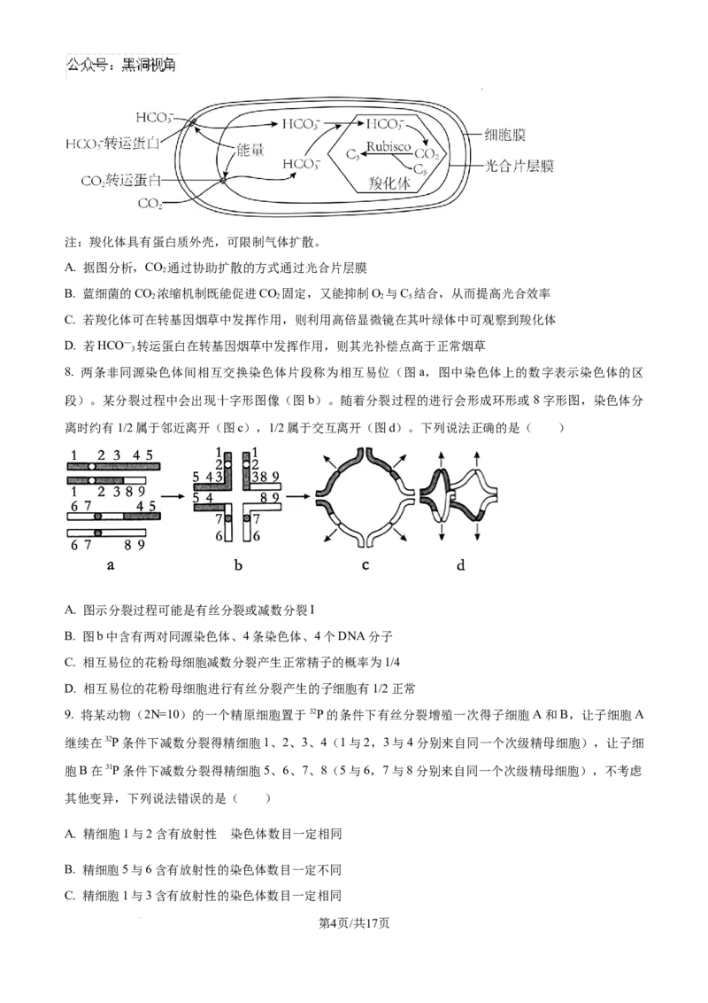 山东省泰安市2024-2025学年高三上学期11月期中考试生物_2024-2025高三（6-6月题库）_2024年11月试卷_1125山东省泰安市2024-2025学年高三上学期11月期中考试