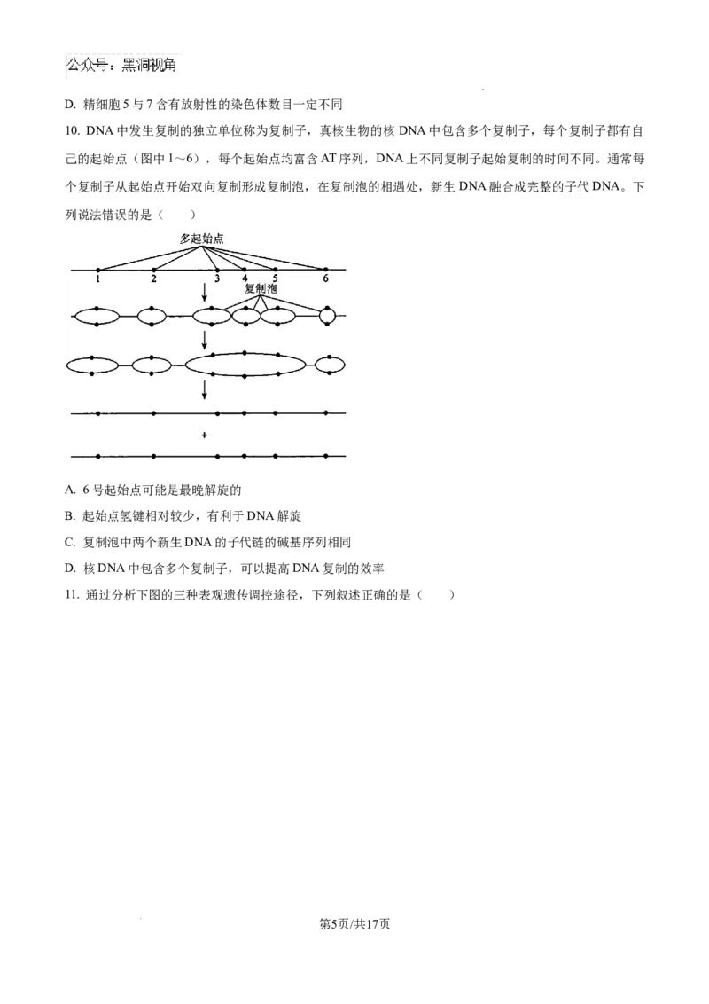 山东省泰安市2024-2025学年高三上学期11月期中考试生物_2024-2025高三（6-6月题库）_2024年11月试卷_1125山东省泰安市2024-2025学年高三上学期11月期中考试