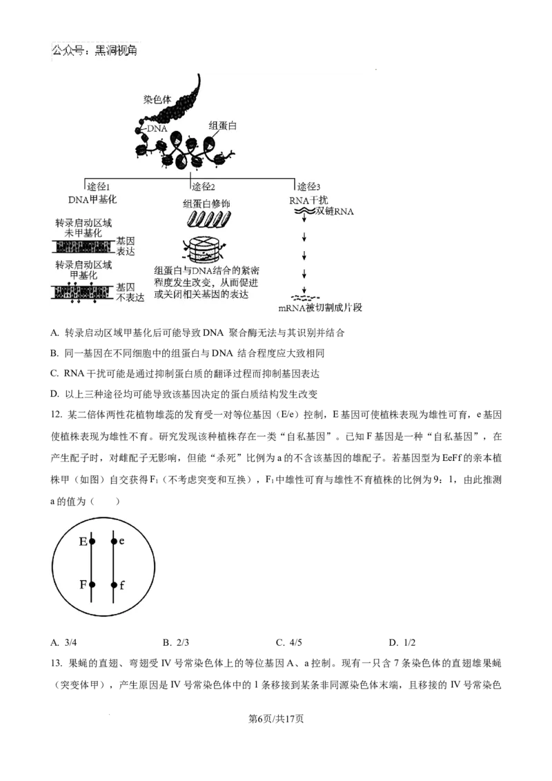 山东省泰安市2024-2025学年高三上学期11月期中考试生物_2024-2025高三（6-6月题库）_2024年11月试卷_1125山东省泰安市2024-2025学年高三上学期11月期中考试