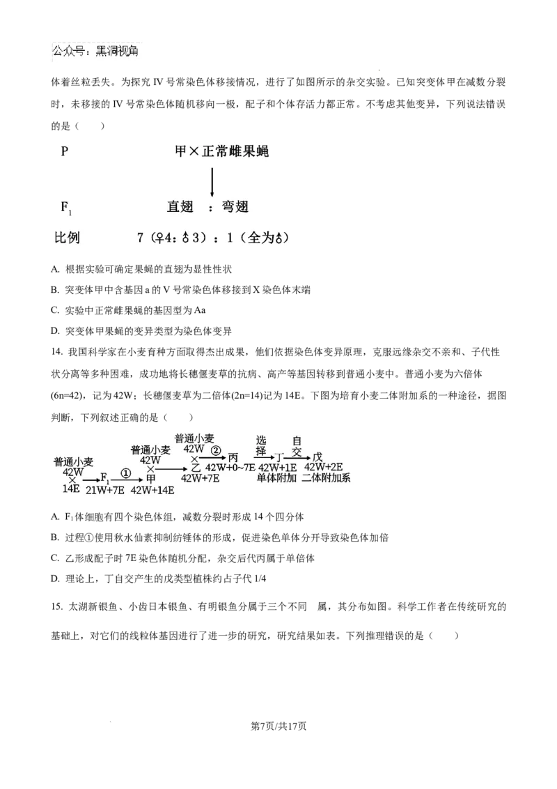 山东省泰安市2024-2025学年高三上学期11月期中考试生物_2024-2025高三（6-6月题库）_2024年11月试卷_1125山东省泰安市2024-2025学年高三上学期11月期中考试