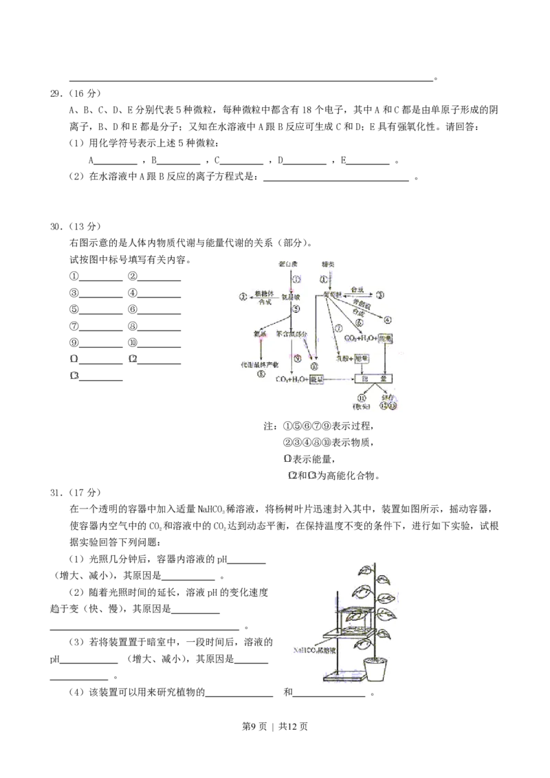 2004年宁夏高考理科综合真题及答案_生物高考真题试卷_旧1990-2007&middot;高考生物真题_1990-2007&middot;高考生物真题&middot;PDF_宁夏