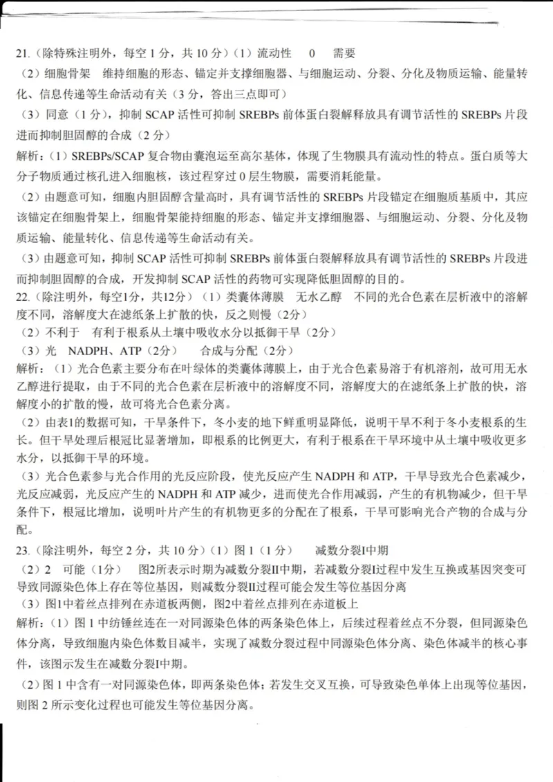 山东省德州市2024届高三适应性联考模拟预测（一）生物(1)_2023年11月_01每日更新_05号_2024届山东省德州市高三适应性联考模拟预测（一）