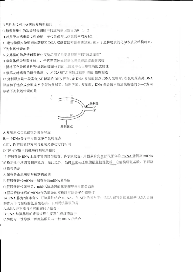 山东省德州市2024届高三适应性联考模拟预测（一）生物(1)_2023年11月_01每日更新_05号_2024届山东省德州市高三适应性联考模拟预测（一）
