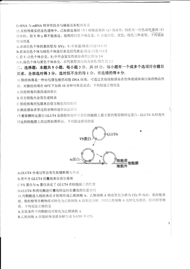 山东省德州市2024届高三适应性联考模拟预测（一）生物(1)_2023年11月_01每日更新_05号_2024届山东省德州市高三适应性联考模拟预测（一）