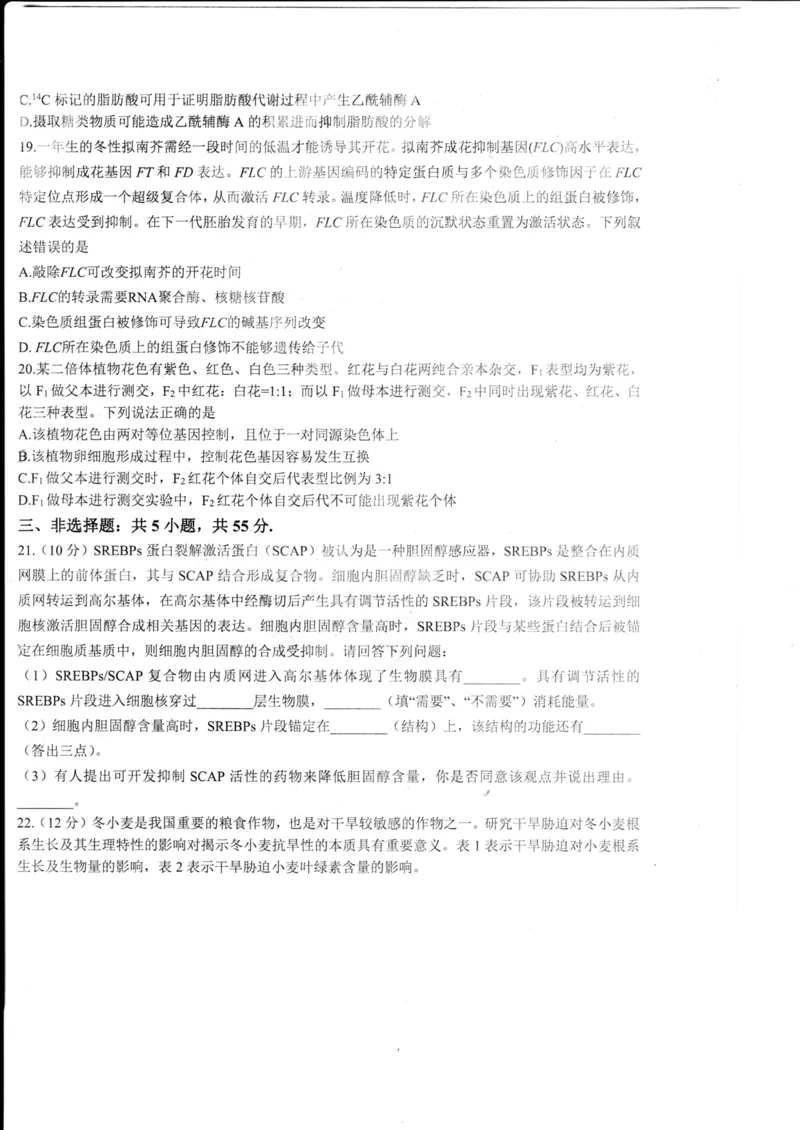 山东省德州市2024届高三适应性联考模拟预测（一）生物(1)_2023年11月_01每日更新_05号_2024届山东省德州市高三适应性联考模拟预测（一）