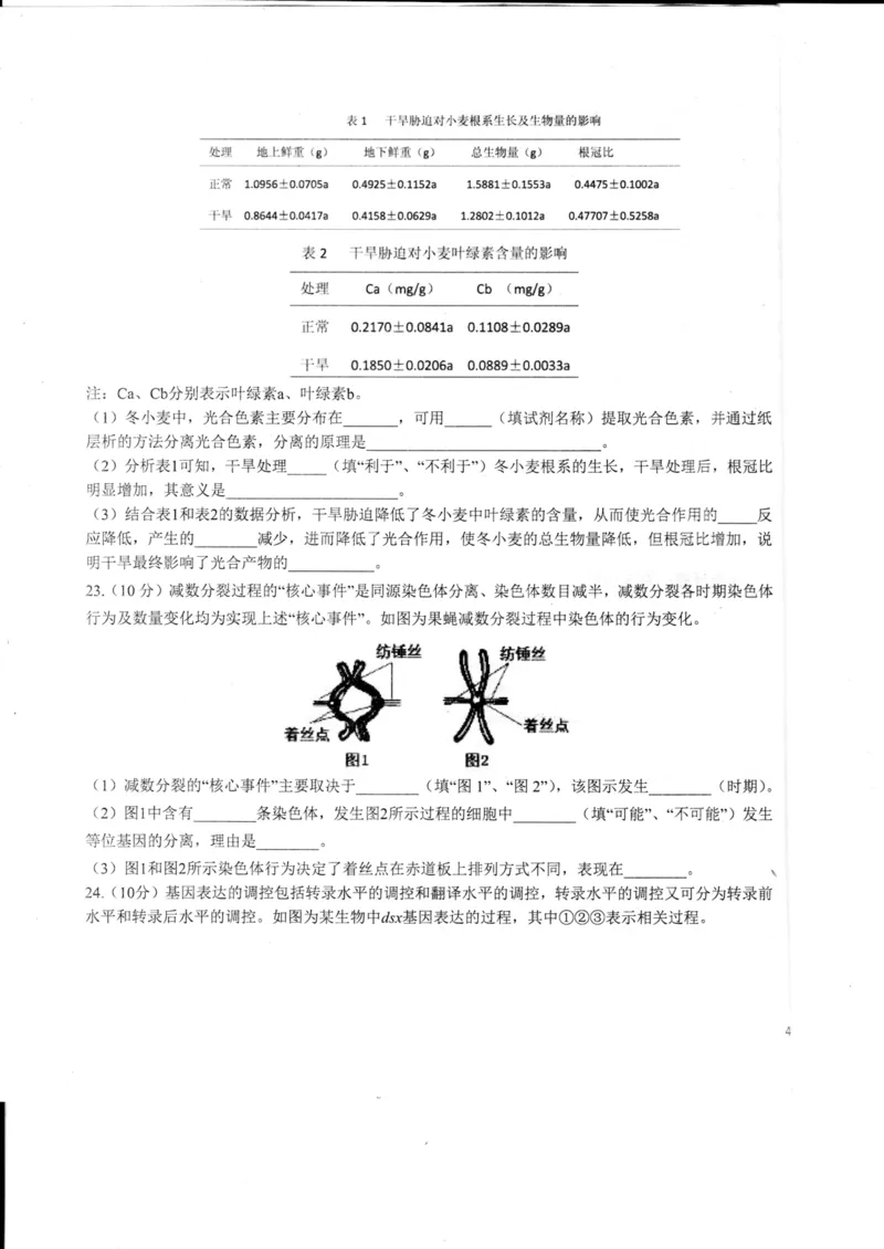 山东省德州市2024届高三适应性联考模拟预测（一）生物(1)_2023年11月_01每日更新_05号_2024届山东省德州市高三适应性联考模拟预测（一）