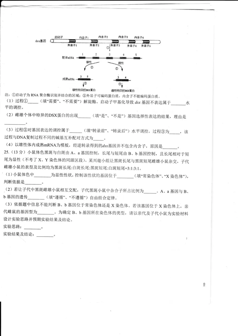 山东省德州市2024届高三适应性联考模拟预测（一）生物(1)_2023年11月_01每日更新_05号_2024届山东省德州市高三适应性联考模拟预测（一）