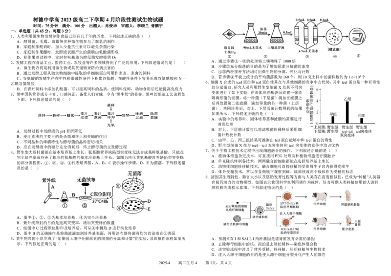 四川省成都市树德中学2024-2025学年高二下学期4月阶段性测试生物PDF版含答案（可编辑）_2024-2025高二（7-7月题库）_2025年04月试卷(1)