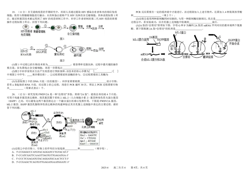 四川省成都市树德中学2024-2025学年高二下学期4月阶段性测试生物PDF版含答案（可编辑）_2024-2025高二（7-7月题库）_2025年04月试卷(1)