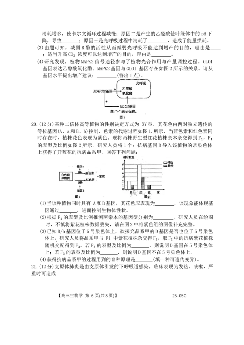 河北省邢台市邢襄联盟2024--2025学年高三上学期开学考试生物试题（）_2024-2025高三（6-6月题库）_2024年09月试卷_0904河北金太阳2024-2025学年高三上学期开学考试（24-05C）
