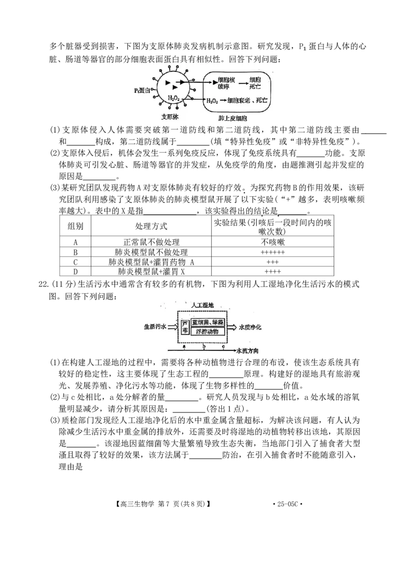 河北省邢台市邢襄联盟2024--2025学年高三上学期开学考试生物试题（）_2024-2025高三（6-6月题库）_2024年09月试卷_0904河北金太阳2024-2025学年高三上学期开学考试（24-05C）