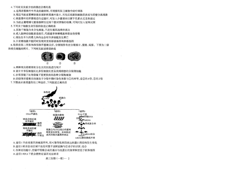 辽宁省协作校2024届高三下学期第一次模拟考试生物_2024年3月_013月合集_2024届辽宁省协作校高三下学期第一次模拟考试_辽宁省协作校2024届高三下学期第一次模拟考试生物