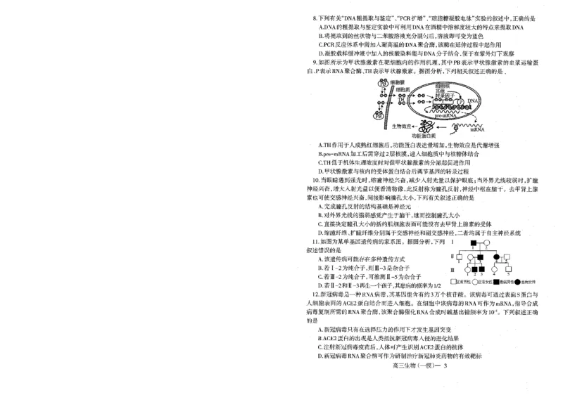 辽宁省协作校2024届高三下学期第一次模拟考试生物_2024年3月_013月合集_2024届辽宁省协作校高三下学期第一次模拟考试_辽宁省协作校2024届高三下学期第一次模拟考试生物