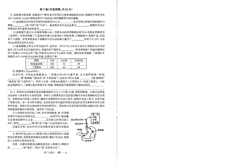 辽宁省协作校2024届高三下学期第一次模拟考试生物_2024年3月_013月合集_2024届辽宁省协作校高三下学期第一次模拟考试_辽宁省协作校2024届高三下学期第一次模拟考试生物