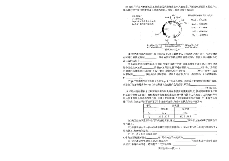 辽宁省协作校2024届高三下学期第一次模拟考试生物_2024年3月_013月合集_2024届辽宁省协作校高三下学期第一次模拟考试_辽宁省协作校2024届高三下学期第一次模拟考试生物