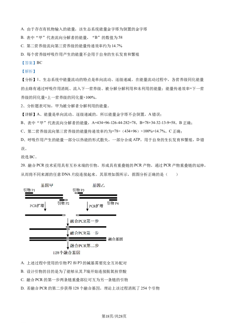 精品解析：2024届山东省泰安市高三一模生物试题（解析版）_2024年3月_013月合集_2024届山东省泰安市高三一模_2024届山东省泰安市高三下学期一模生物试题