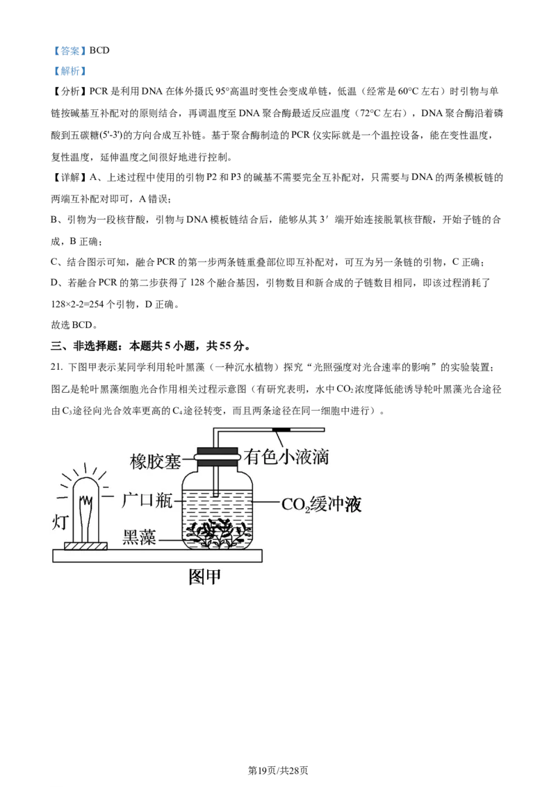 精品解析：2024届山东省泰安市高三一模生物试题（解析版）_2024年3月_013月合集_2024届山东省泰安市高三一模_2024届山东省泰安市高三下学期一模生物试题