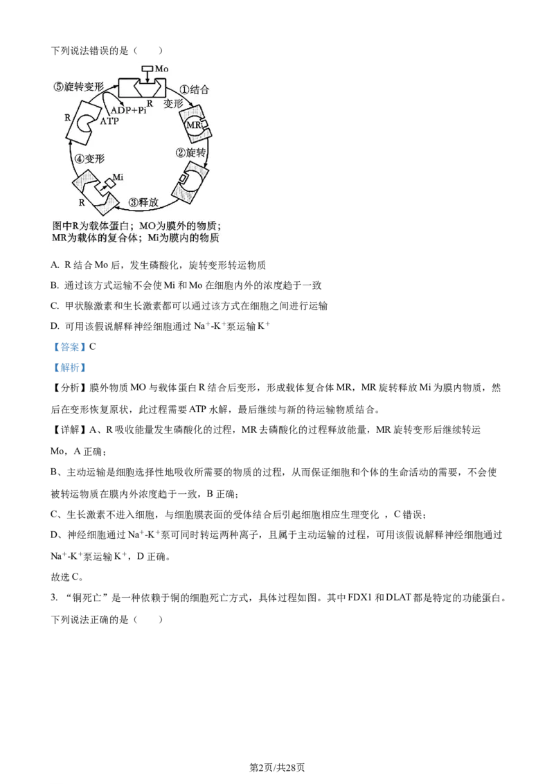 精品解析：2024届山东省泰安市高三一模生物试题（解析版）_2024年3月_013月合集_2024届山东省泰安市高三一模_2024届山东省泰安市高三下学期一模生物试题
