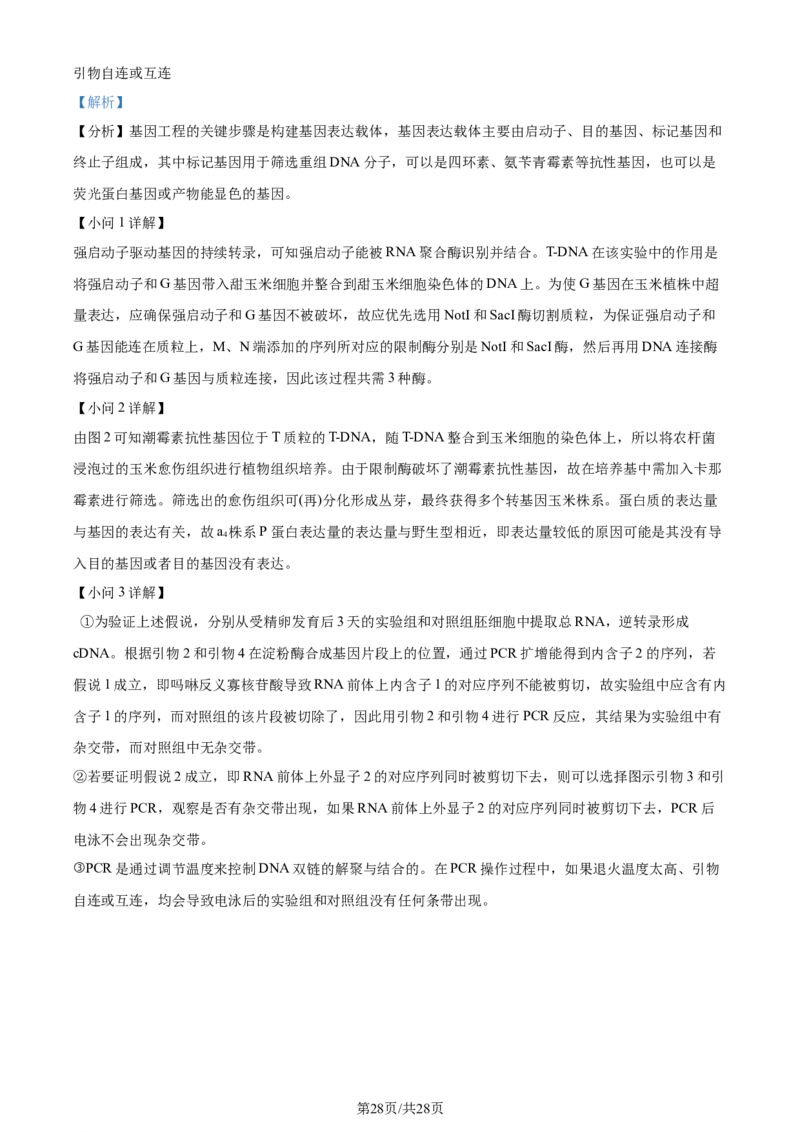 精品解析：2024届山东省泰安市高三一模生物试题（解析版）_2024年3月_013月合集_2024届山东省泰安市高三一模_2024届山东省泰安市高三下学期一模生物试题