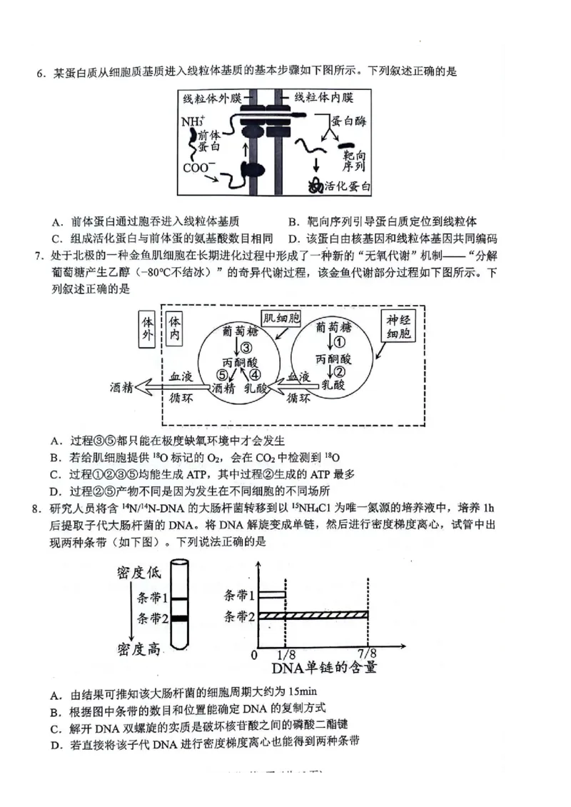 生物(1)_2023年11月_0211月合集_2024届江苏省扬州市高三上学期11月期中检测_江苏省扬州市2024届高三上学期11月期中检测生物