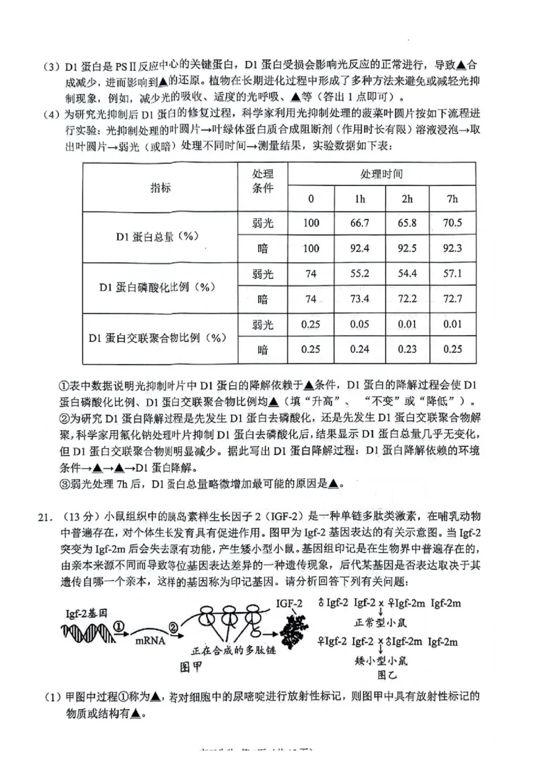 生物(1)_2023年11月_0211月合集_2024届江苏省扬州市高三上学期11月期中检测_江苏省扬州市2024届高三上学期11月期中检测生物