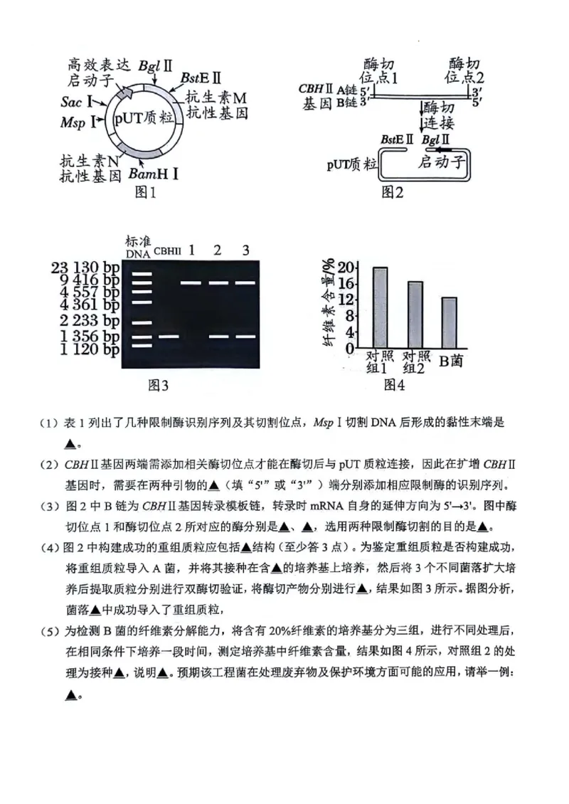 生物(1)_2023年11月_0211月合集_2024届江苏省扬州市高三上学期11月期中检测_江苏省扬州市2024届高三上学期11月期中检测生物