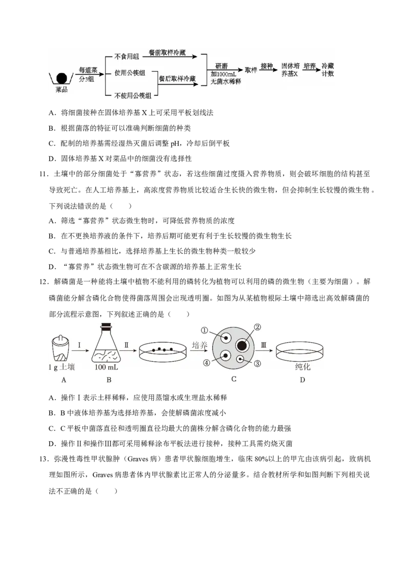 湖南省岳阳市岳阳县第一中学2024-2025学年高二下学期开学生物学试题（含答案）_2024-2025高二（7-7月题库）_2025年03月试卷