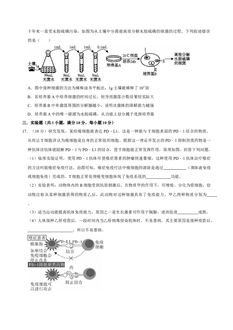 湖南省岳阳市岳阳县第一中学2024-2025学年高二下学期开学生物学试题（含答案）_2024-2025高二（7-7月题库）_2025年03月试卷