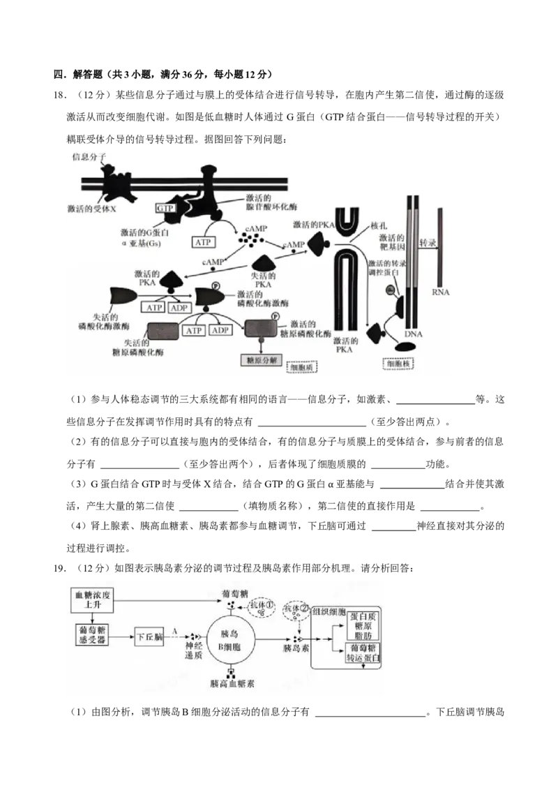 湖南省岳阳市岳阳县第一中学2024-2025学年高二下学期开学生物学试题（含答案）_2024-2025高二（7-7月题库）_2025年03月试卷