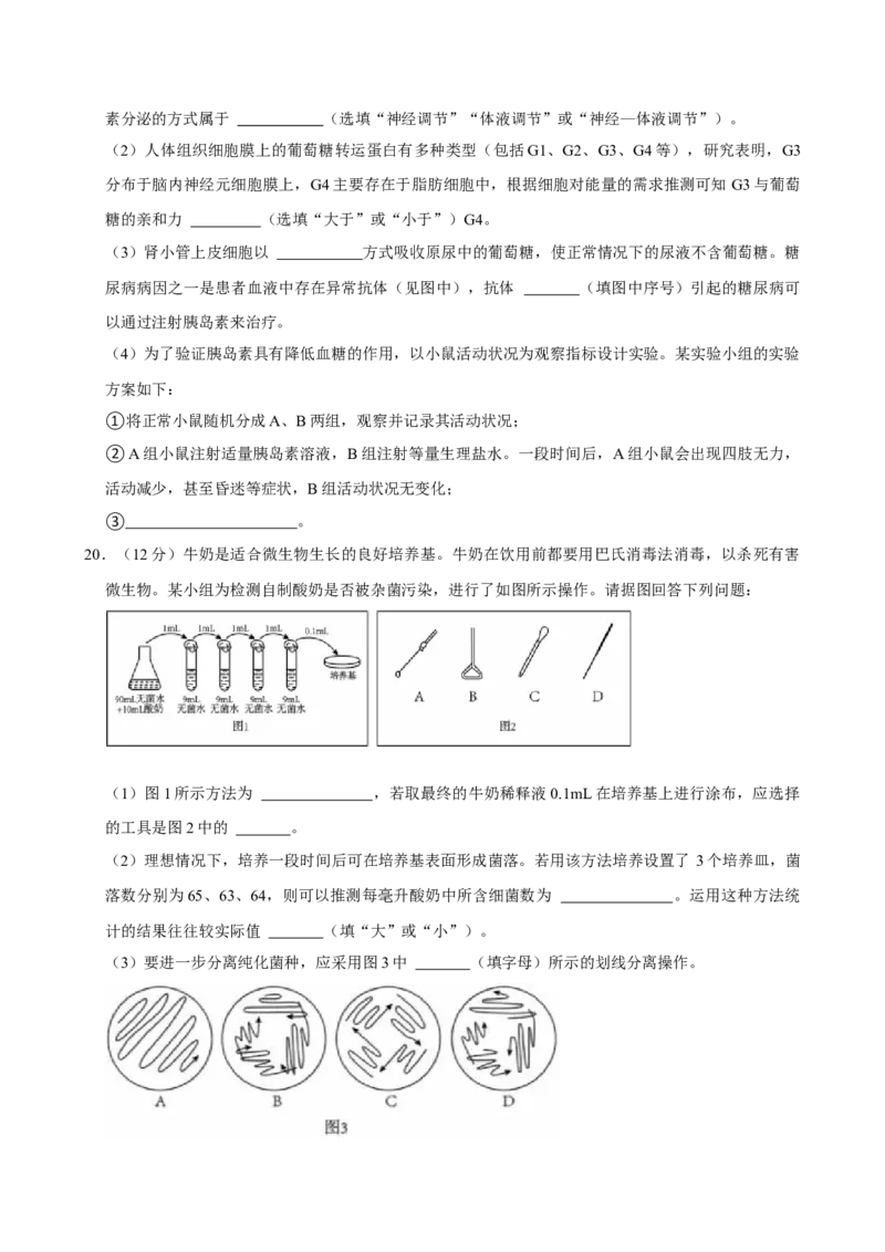湖南省岳阳市岳阳县第一中学2024-2025学年高二下学期开学生物学试题（含答案）_2024-2025高二（7-7月题库）_2025年03月试卷