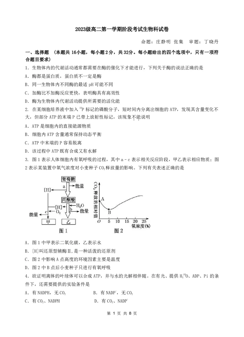 广东省汕头市金山中学2024-2025学年高二上学期期中考试生物试题PDF版无答案_2024-2025高二（7-7月题库）_2024年11月试卷_1128广东省汕头市金山中学2024-2025学年高二上学期期中考试
