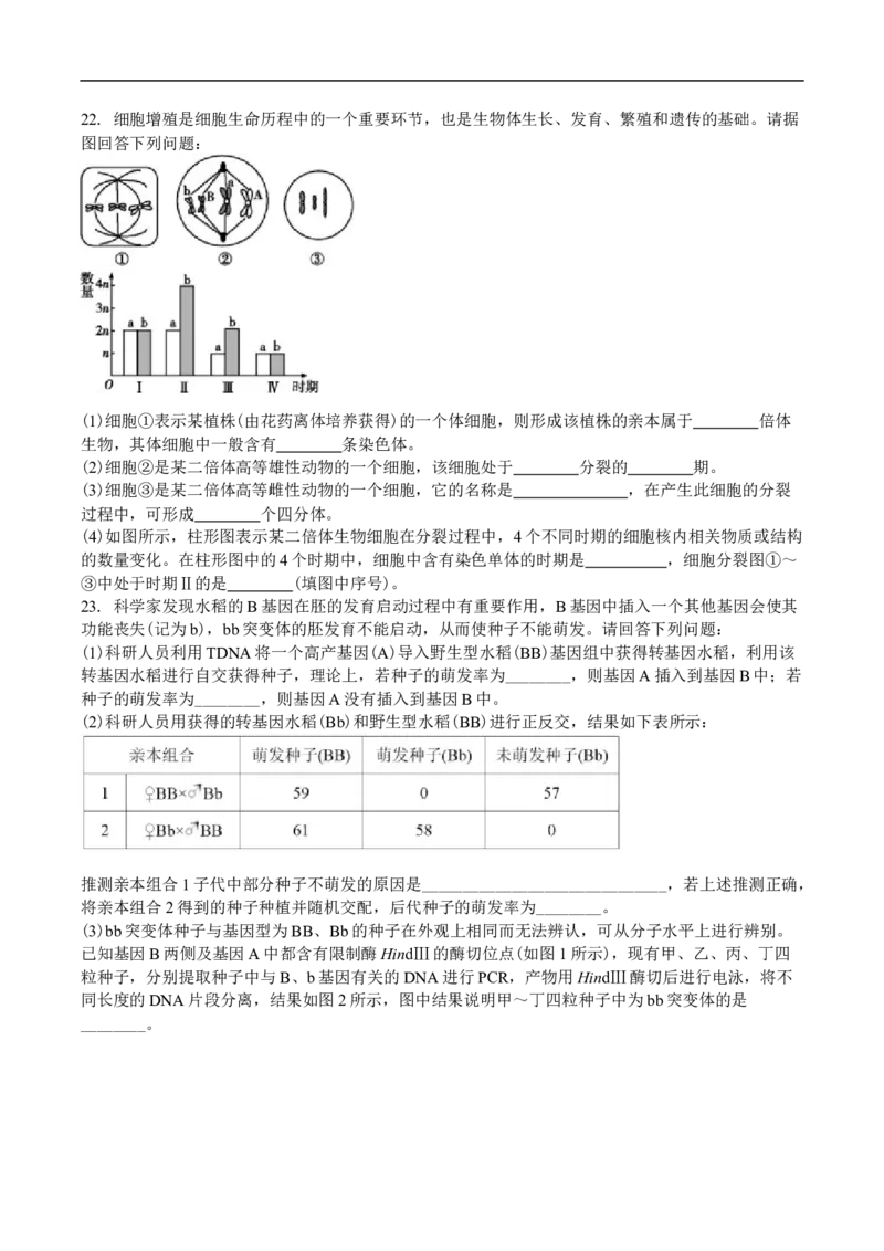 吉林省白城市第一中学2025届高三上学期1月期末考试生物试卷（含解析）_2024-2025高三（6-6月题库）_2025年01月试卷_0107吉林省白城市第一中学2025届高三上学期1月期末考试