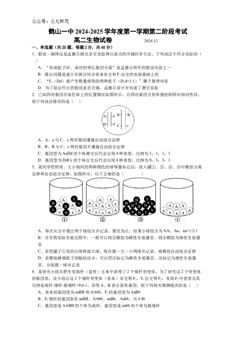 广东省江门市鹤山市第一中学2024-2025学年高二上学期12月月考生物学试题（含答案)_2024-2025高二（7-7月题库）_2024年12月试卷