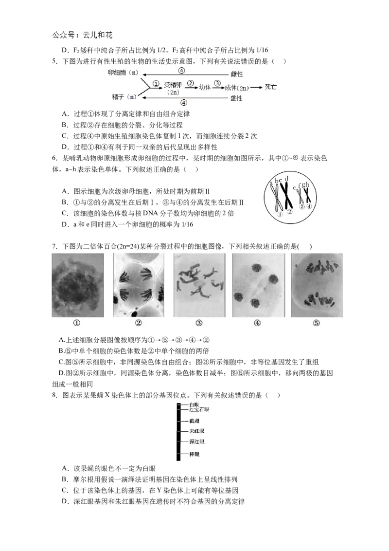 广东省江门市鹤山市第一中学2024-2025学年高二上学期12月月考生物学试题（含答案)_2024-2025高二（7-7月题库）_2024年12月试卷