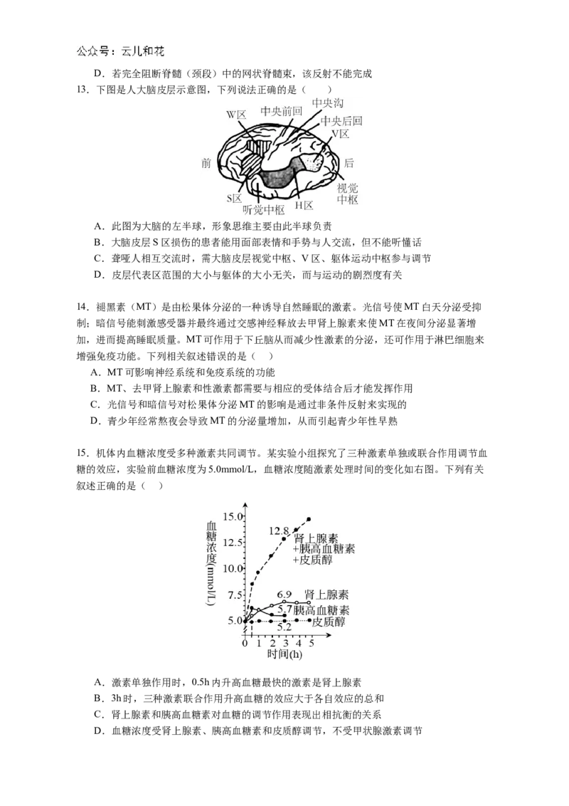 广东省江门市鹤山市第一中学2024-2025学年高二上学期12月月考生物学试题（含答案)_2024-2025高二（7-7月题库）_2024年12月试卷