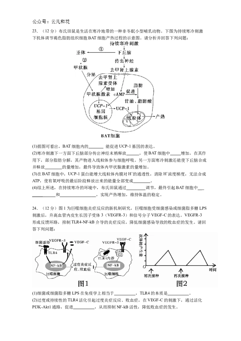 广东省江门市鹤山市第一中学2024-2025学年高二上学期12月月考生物学试题（含答案)_2024-2025高二（7-7月题库）_2024年12月试卷