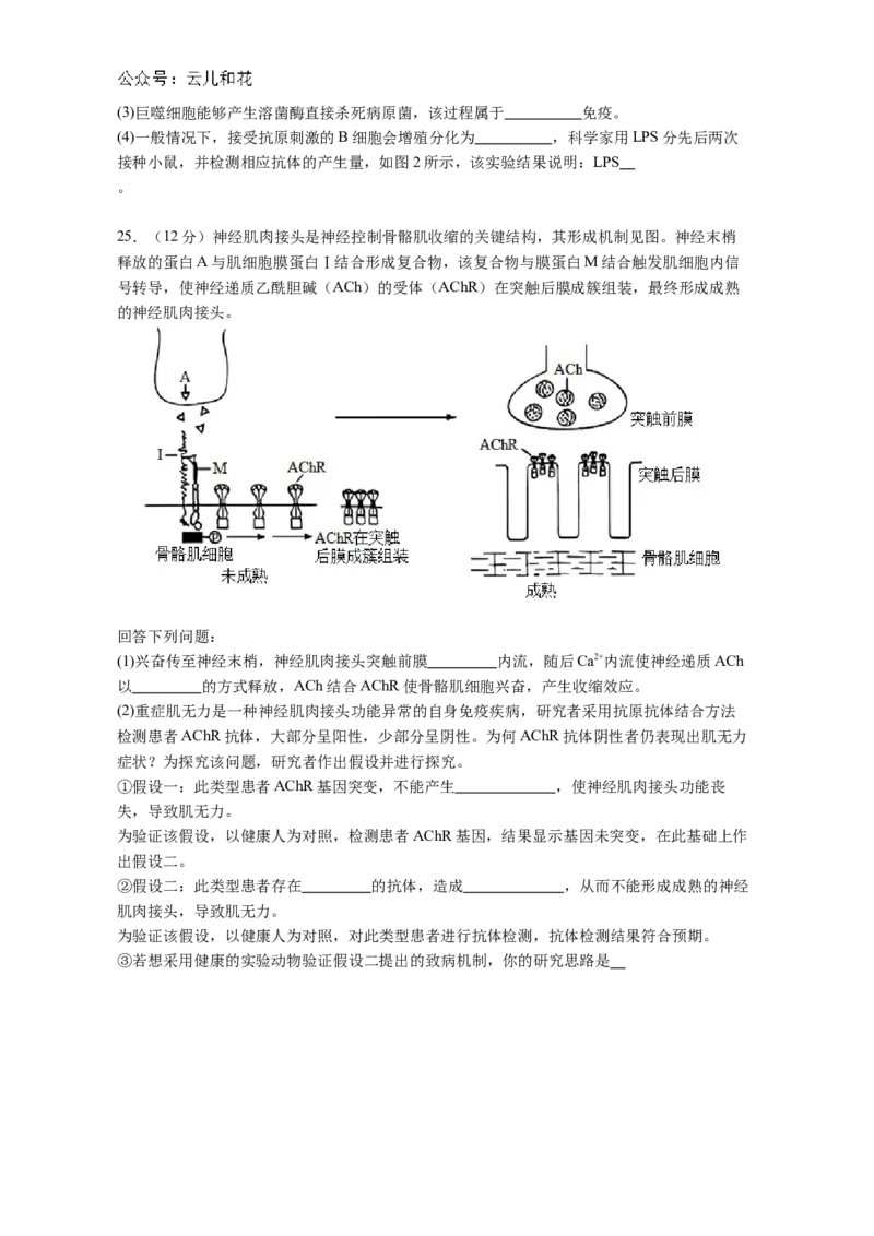 广东省江门市鹤山市第一中学2024-2025学年高二上学期12月月考生物学试题（含答案)_2024-2025高二（7-7月题库）_2024年12月试卷