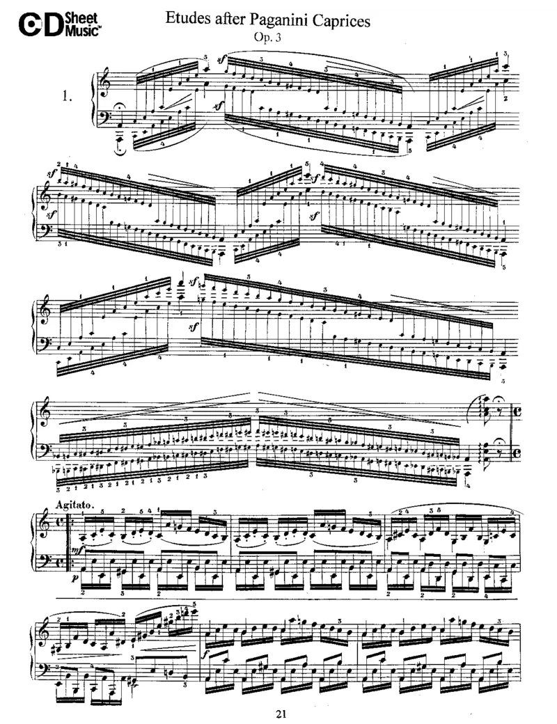 Schumann-EtudesafterPaganiniCaprices,Op.3_一万首著名钢琴曲谱哈农贝多芬合集视频教学电子版高清无水印可打印_1古典钢琴知名音乐家谱_舒曼钢琴谱全集_WORKS