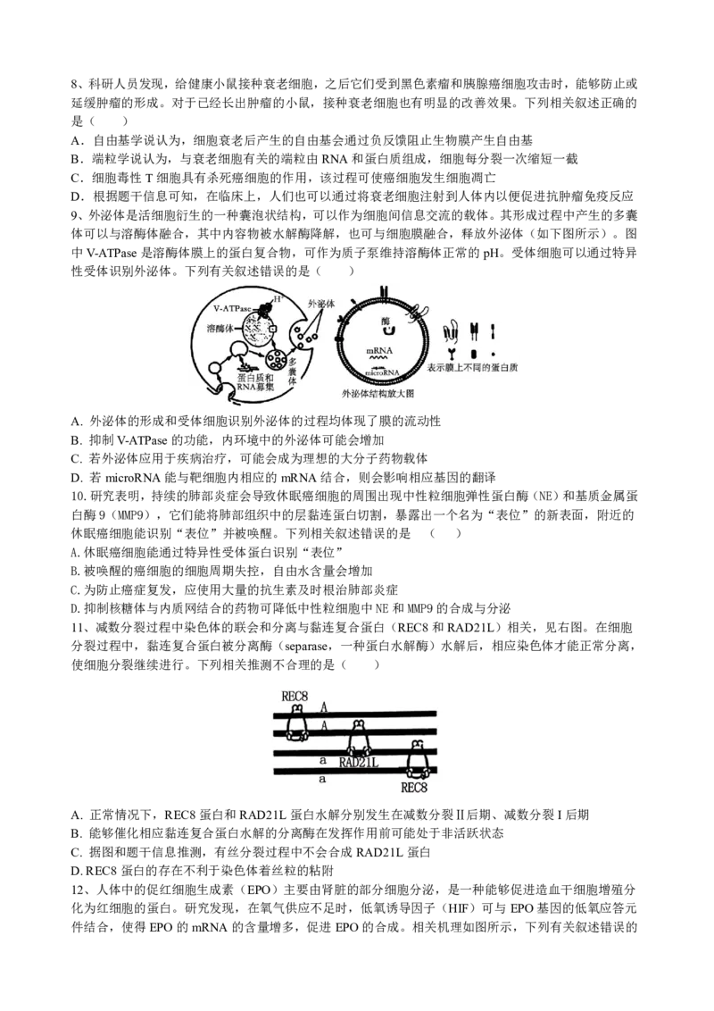四川省成都市树德中学2024-2025学年高三上学期开学考试生物试题PDF版含答案_2024-2025高三（6-6月题库）_2024年09月试卷_0912四川省成都市树德中学2024-2025学年高三上学期开学考试
