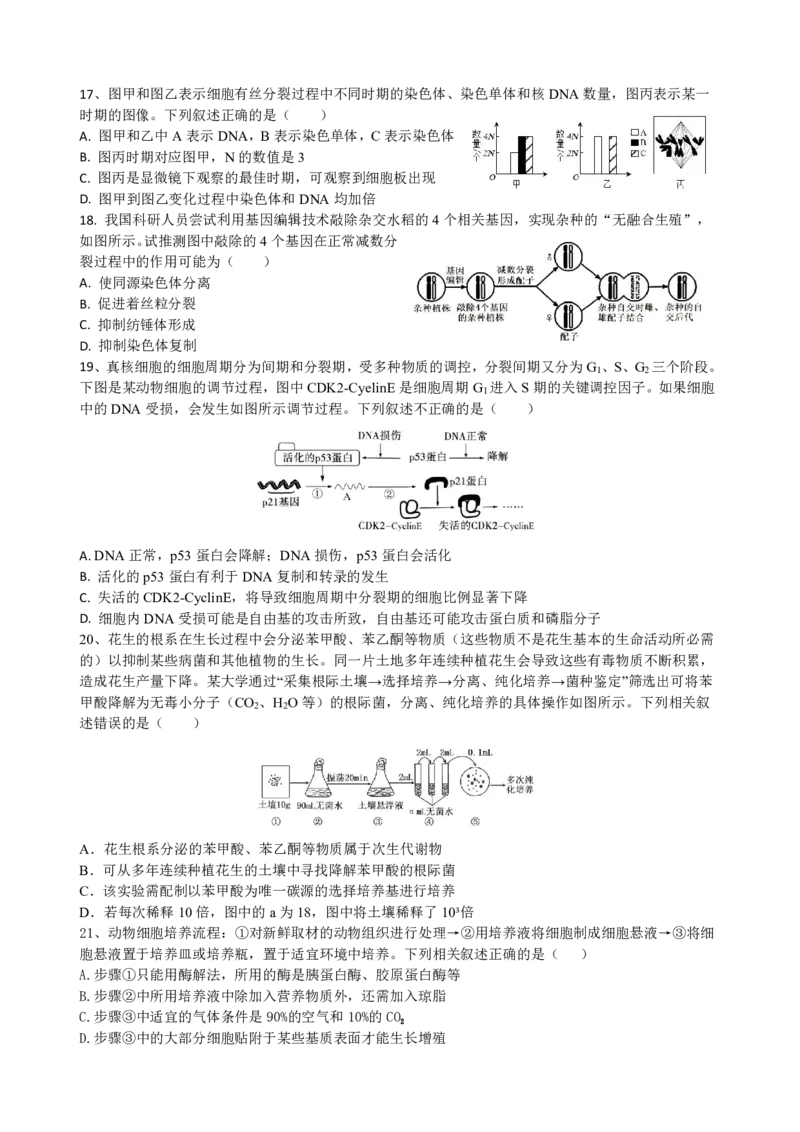 四川省成都市树德中学2024-2025学年高三上学期开学考试生物试题PDF版含答案_2024-2025高三（6-6月题库）_2024年09月试卷_0912四川省成都市树德中学2024-2025学年高三上学期开学考试