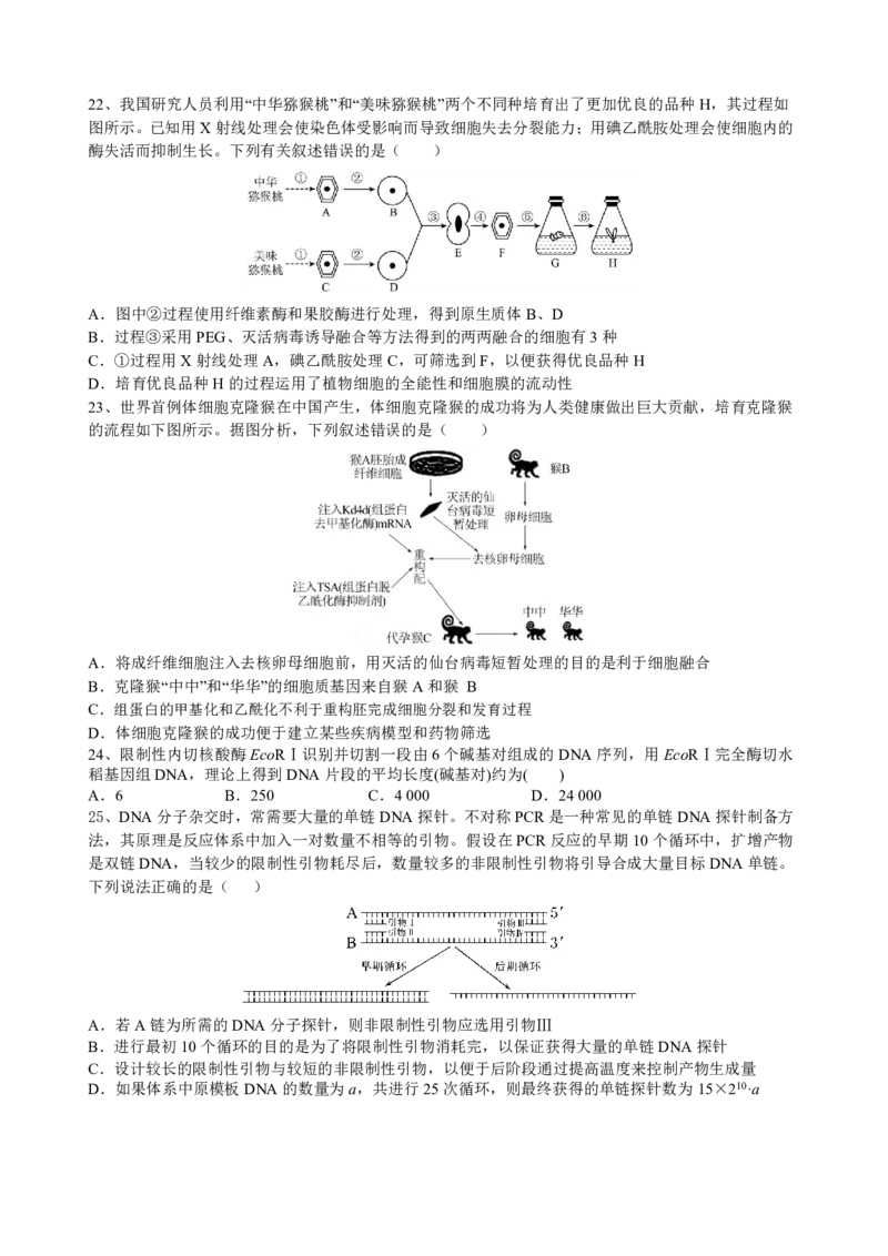 四川省成都市树德中学2024-2025学年高三上学期开学考试生物试题PDF版含答案_2024-2025高三（6-6月题库）_2024年09月试卷_0912四川省成都市树德中学2024-2025学年高三上学期开学考试