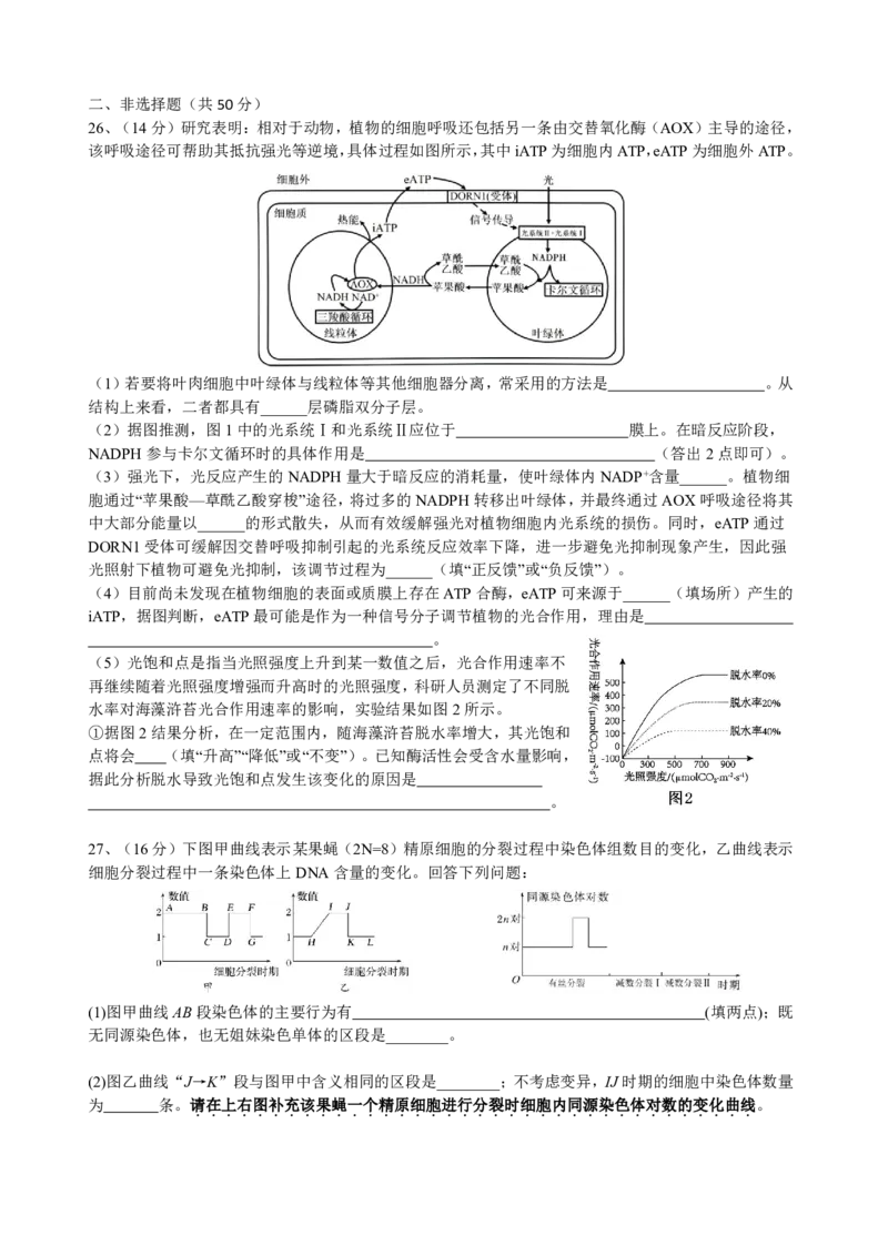 四川省成都市树德中学2024-2025学年高三上学期开学考试生物试题PDF版含答案_2024-2025高三（6-6月题库）_2024年09月试卷_0912四川省成都市树德中学2024-2025学年高三上学期开学考试