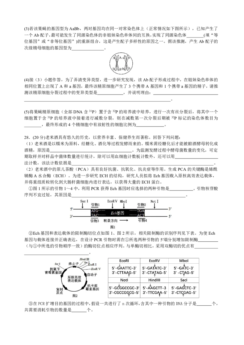 四川省成都市树德中学2024-2025学年高三上学期开学考试生物试题PDF版含答案_2024-2025高三（6-6月题库）_2024年09月试卷_0912四川省成都市树德中学2024-2025学年高三上学期开学考试
