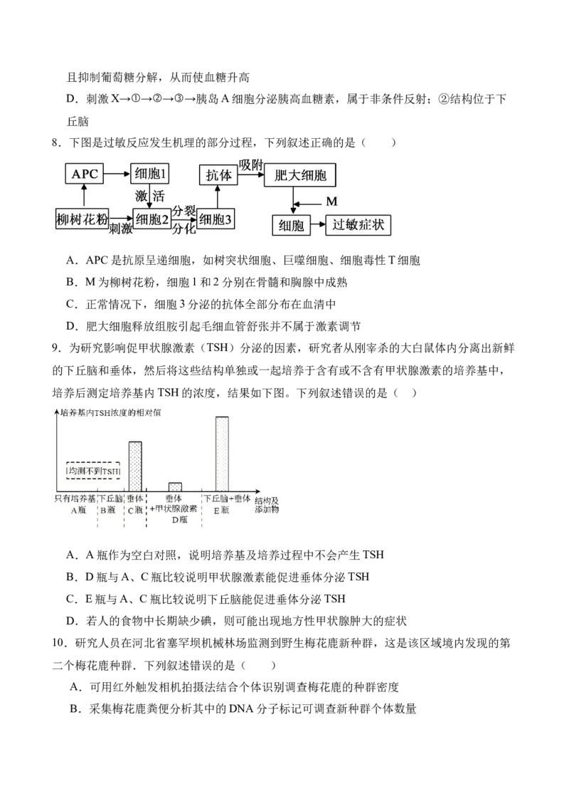 湖南省娄底市第一中学2025-2026学年高二上学期1月月考生物试卷（含答案）_2024-2025高二（7-7月题库）_2026年1月高二_260117湖南省娄底市第一中学2025-2026学年高二上学期1月月考