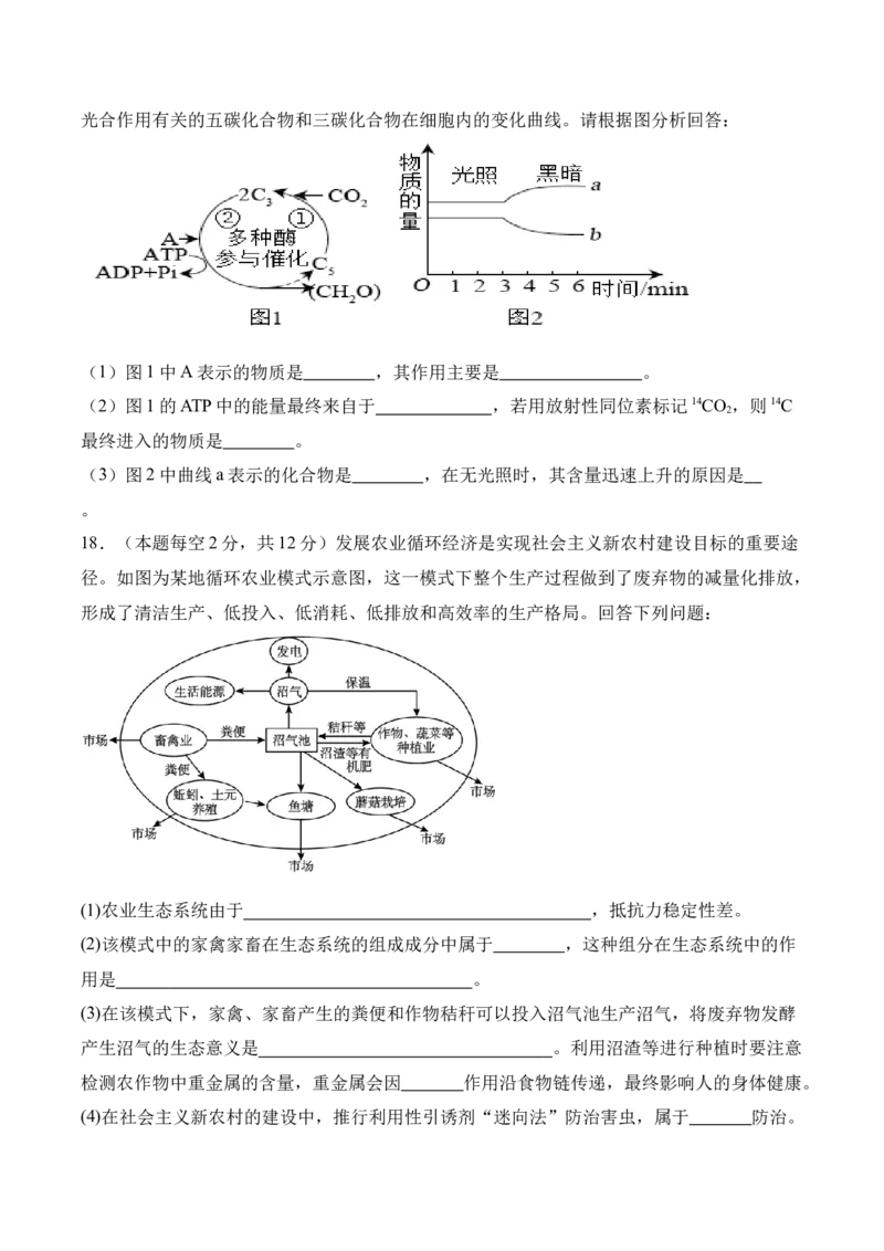 湖南省娄底市第一中学2025-2026学年高二上学期1月月考生物试卷（含答案）_2024-2025高二（7-7月题库）_2026年1月高二_260117湖南省娄底市第一中学2025-2026学年高二上学期1月月考